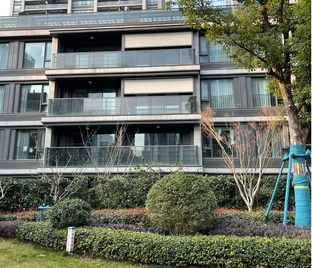 桂語(yǔ)朝陽(yáng)防風(fēng)卷簾